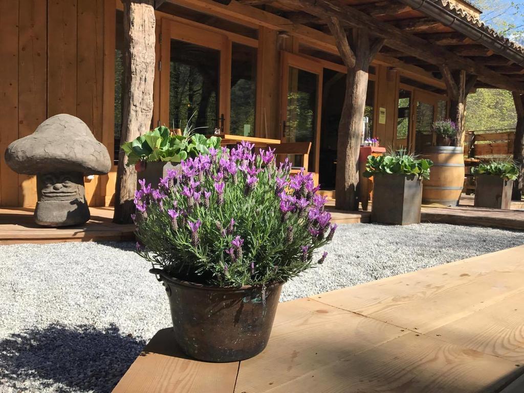 Pocitniska Hisa Lazar Hotell Kobarid Exteriör bild